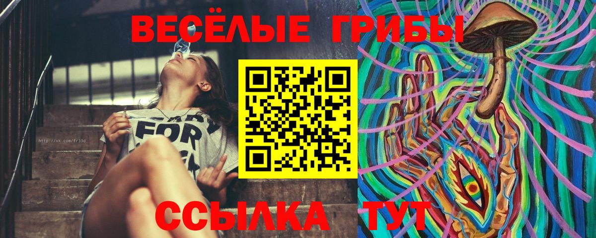 Галлюциногенные грибы мицелий Черкесск