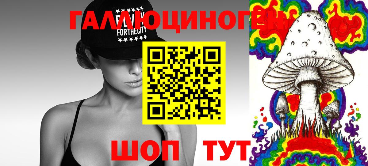 где купить наркотик  Галлюциногенные грибы мицелий  Вход с VPN  Черкесск 